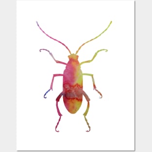 Beetle Posters and Art